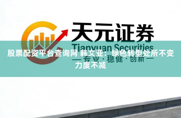 股票配资平台查询网 韩文亚：绿色转型处所不变力度不减